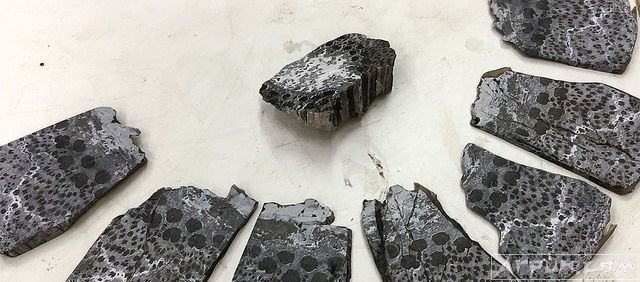 ��������ʷ������һ�������о��ܸ�������ʲô�������������Ҫ���ӵö�