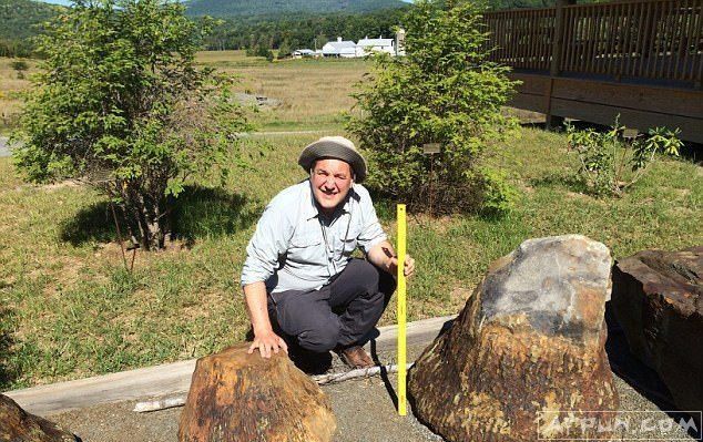 ��������ʷ������һ�������о��ܸ�������ʲô�������������Ҫ���ӵö�