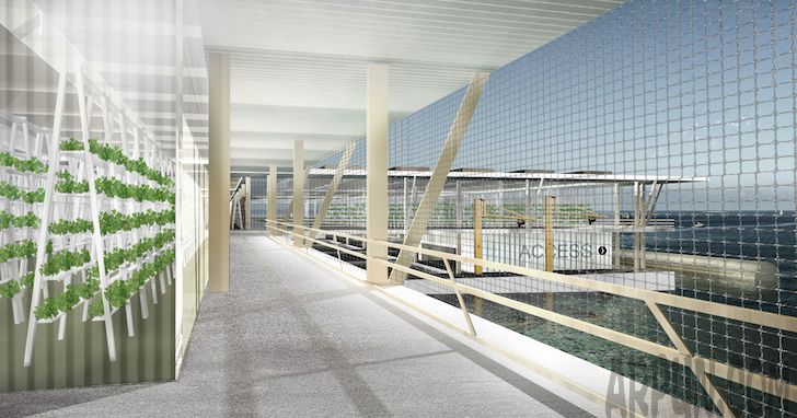 ��������Ư��ũ���ɽ��ȫ����ʳΣ����