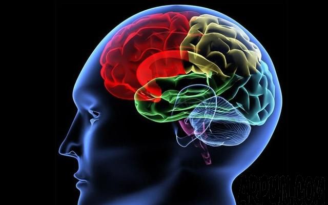 科学家窥测到微生物记忆遗传现象,生命科学或迎来重大突破