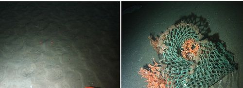 世界上最深的马里亚纳海沟深处发现大量的人造垃圾!