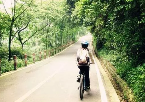 周末骑行去哪里?广州最全绿道攻略在这里