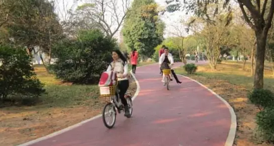 周末骑行去哪里?广州最全绿道攻略在这里