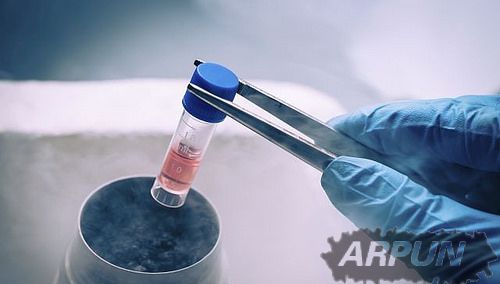 ��ѧ�ҷ�����νⶳ�䶳��������ٶ�������˺��ķ���