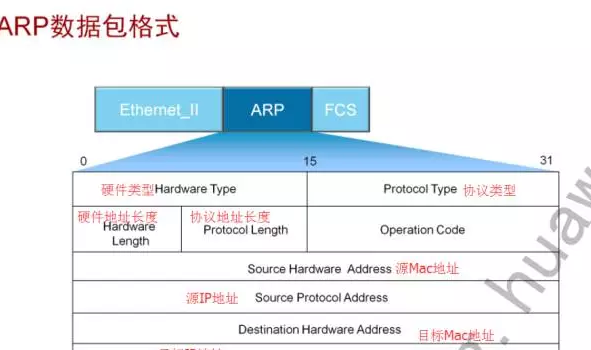 ARP协议基础