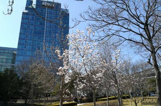 荣耀8青春版拍照好吗?华为荣耀8青春版拍照体验评测荣耀8青春版拍照好吗?华为荣耀8青春版拍照体验