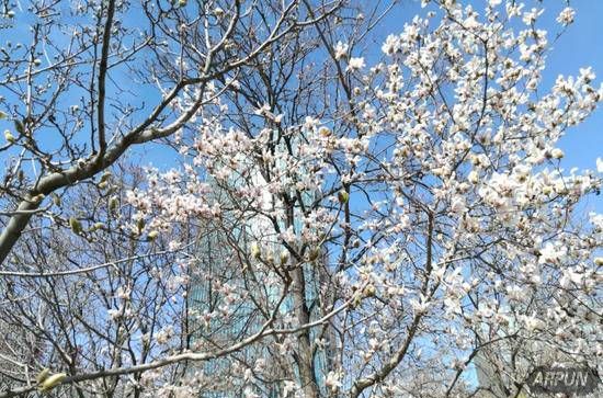 荣耀8青春版拍照好吗?华为荣耀8青春版拍照体验评测荣耀8青春版拍照好吗?华为荣耀8青春版拍照体验