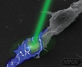 ��ѧ���Ѿ�������˹�����Ĥֲ������Իָ��������˵�������