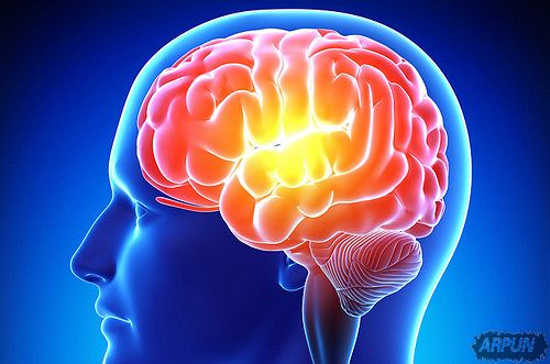 ���˵��о���40����ѵ����ͨ�����������Ĵ��Լ���������