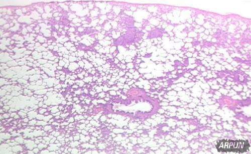 ��ѧ�ҷ��ַε��¹���: ��Ѫ��