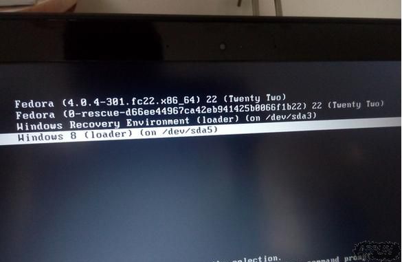 安装Fedora 22破坏了原Win10系统的UEFI引导程序怎么办