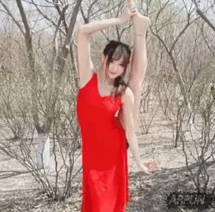 ol女主播樱花下跳钢管舞视频 lol跳钢管舞女主播是谁lol女主播樱花下跳钢管舞视频完整版 lol跳钢管舞女主播是谁