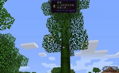 ���ҵ����硷�����ȷ��ֲ����