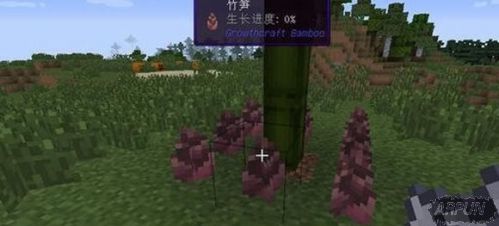 ���ҵ����硷�����ȷ��ֲ����