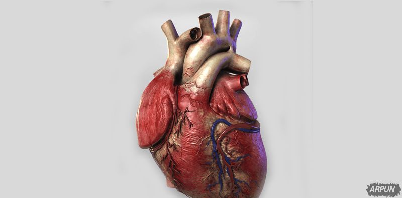 �ǻ�ģ�3D��ӡ����������һ������