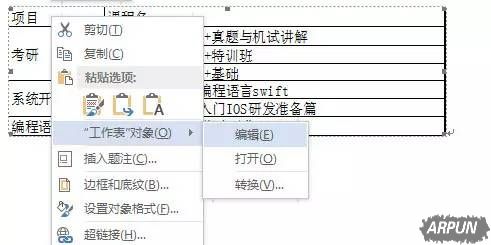 Excel表格插入到word中后如何自定义操作