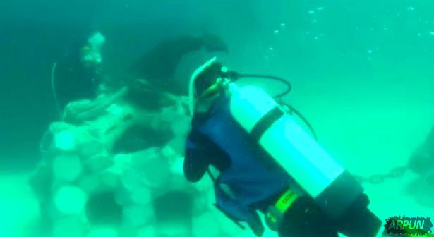 超有创意! 3D列印技术可拯救死亡中的珊瑚礁!