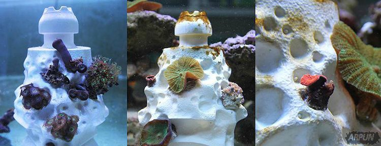 超有创意! 3D列印技术可拯救死亡中的珊瑚礁!