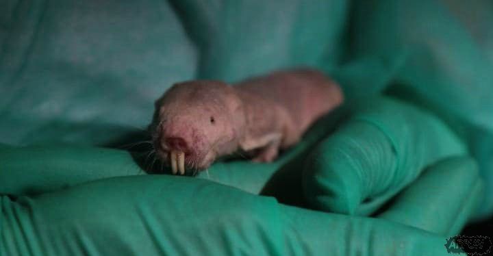 ��ѧ�ҷ�����������ת���ֲ�ﲻ���������棡