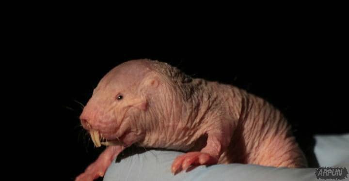 ��ѧ�ҷ�����������ת���ֲ�ﲻ���������棡