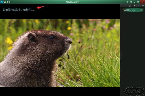 QQ影音播放器:带给你五星级的视听盛宴