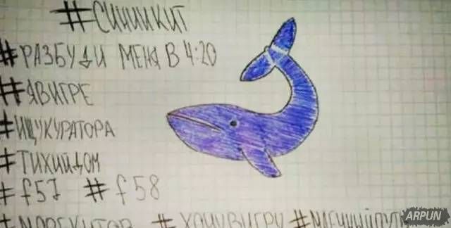 蓝鲸游戏发明者终入狱,供认不讳称受害者是垃圾