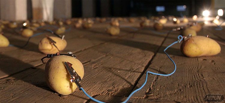 科学家发现马铃薯能发电! 一颗就能照亮你家40天