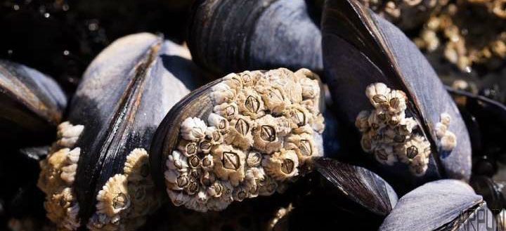 ��ѧ���ҵ����������˰̵ķ�����Ҫ��л�������