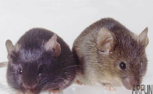 ��ѧ���ҵ����������˰̵ķ�����Ҫ��л�������