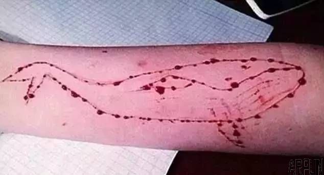 蓝鲸死亡游戏学生群流传,眉山家长千万注意孩子的举动