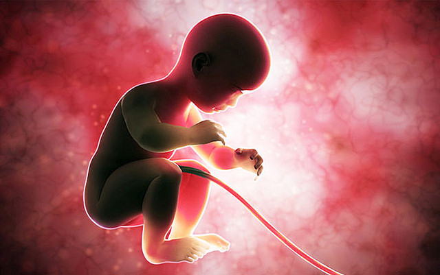 Ӥ�����ѪҺ�е����ʿ�����ǿ���䣬 Ҳ�м������Ⱥ�Ĭ֢��Ч��