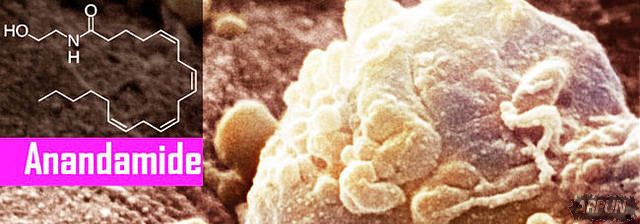 ��ѧ�ҷ��������ʹ���Գ�θ��ϵͳ�а����������������򲡣�