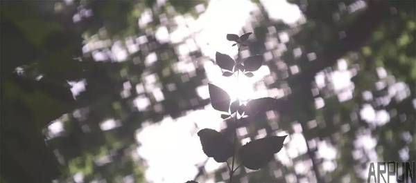 ���ι�Ȧ��ͷ�����û��