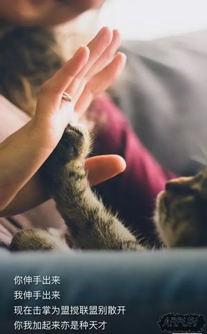 ů���淨�����ҳ�����������������Ƭ�Ľ��