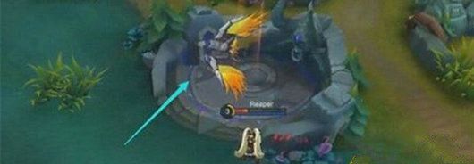 ������ҫ������Ƥ������Ǯ ������ػ�������Ƥ����Ч��ô��