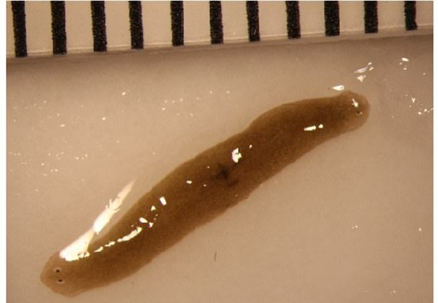 最新关于下雨天的伤感爱情说说 天下雨了不是你一个人在哭泣