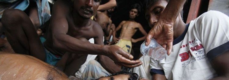 专家警告: 致命的热浪只会越来越多!