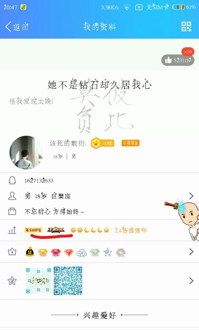 王者荣耀铭牌图标点亮方法