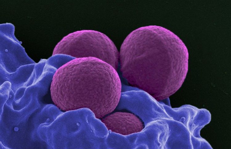 25��Ůѧ���Ŀ����ؿ�ҩ�Խ���취�п��ܽ��ǧ���ˣ�