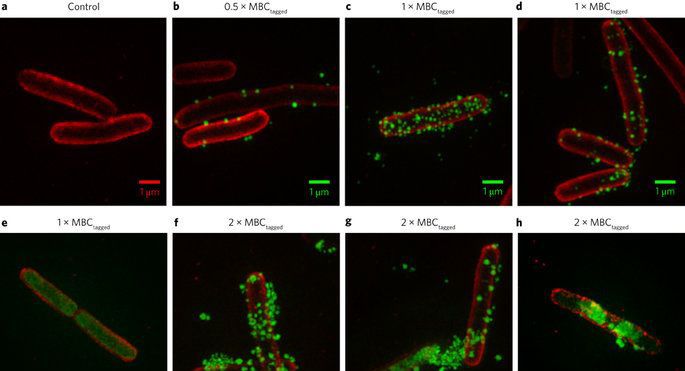 25��Ůѧ���Ŀ����ؿ�ҩ�Խ���취�п��ܽ��ǧ���ˣ�