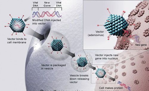 科学家注射病毒到眼睛里反转了老化眼盲的症状!