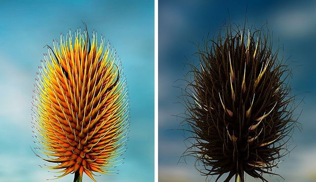 �¹���ѧ�ҷ��ֹ���ʹ��ϸ�����飡