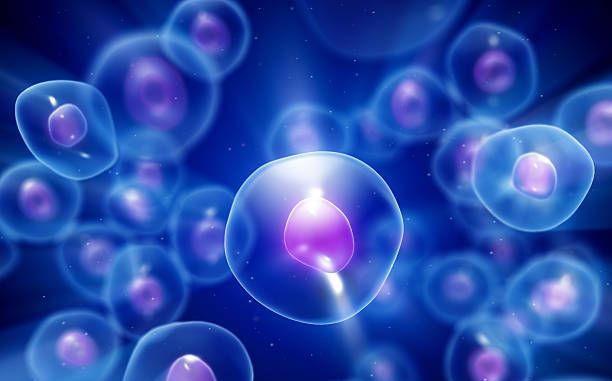 �¹���ѧ�ҷ��ֹ���ʹ��ϸ�����飡