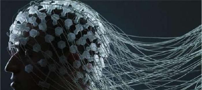 ���ƶ���30����˹��ǻ۽�ȡ����˾�ϰ�