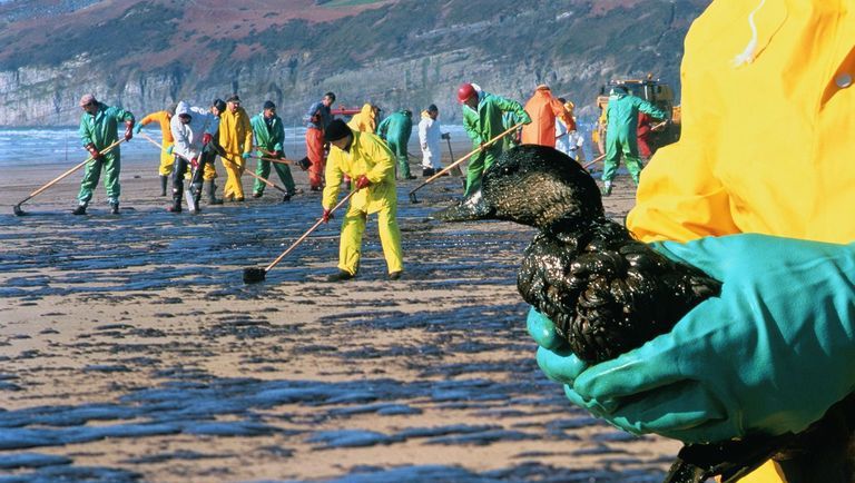 ����ѩ��Ƽ���ѧ����ͷ������������������