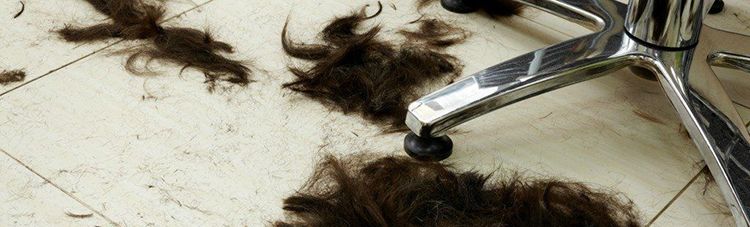 ����ѩ��Ƽ���ѧ����ͷ������������������