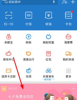 支付宝AR识花是什么,支付宝AR识花玩法介绍