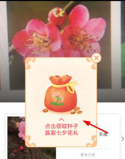 支付宝AR识花是什么,支付宝AR识花玩法介绍
