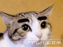 石锤是什么意思?网络语义石锤是什么意思?