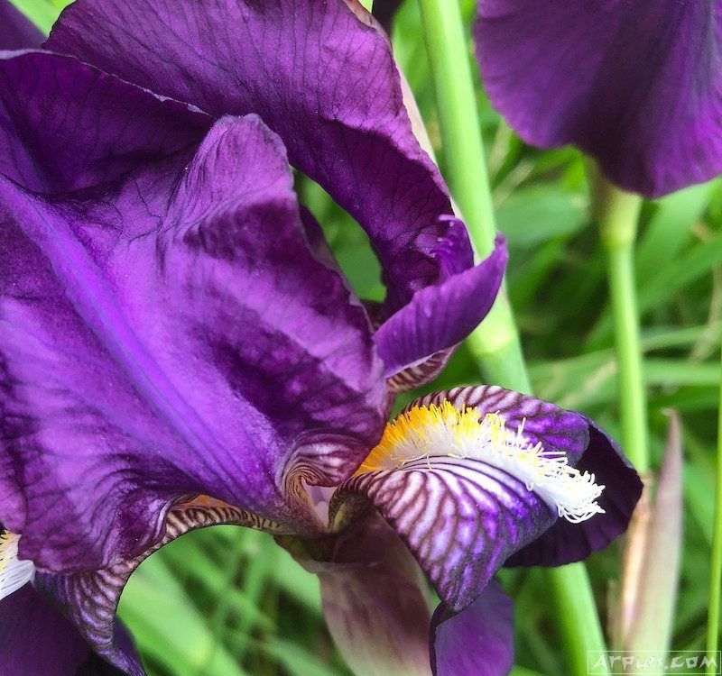 iPhone 8上市了 来看看用户的评测